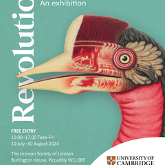 Exhibition poster for Revolution: Nature in a Time of Change, running at the Linnean Society of London until 30 August 2024