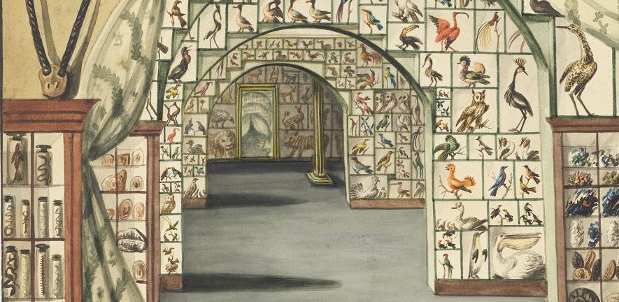 A 'Perspective [interior] view of Sir Ashton Lever's Museum [Leicester Square, London] March 30 th, 1785', by Sarah Stone, held by the State Library of New South Wales